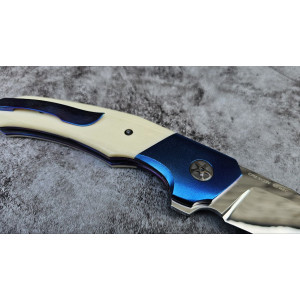 БІЛИЙ РАПТОР авторський складаний ніж ручної роботи Androshchuk Knives, сталь S125V, 65 HRC. Photo 3